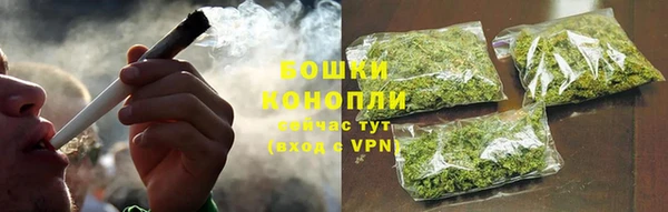 гидра Верея