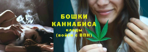 гидра Верея